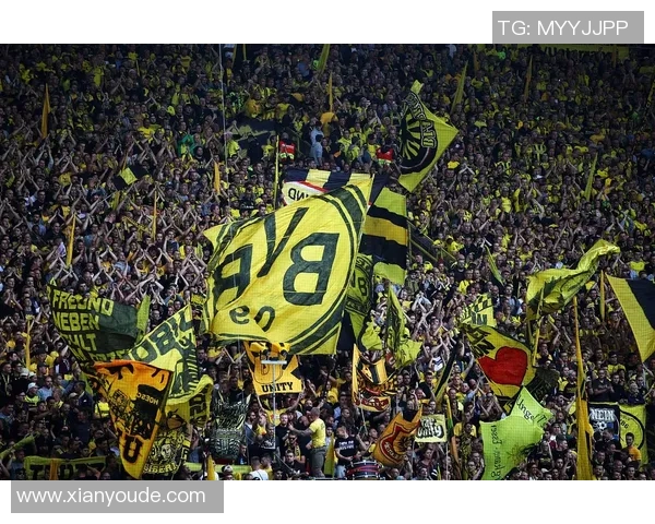 2月2日法兰克福对阵多特蒙德精彩直播全程回顾与分析